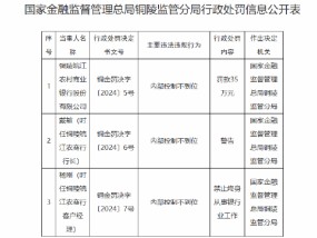 铜陵皖江农村商业银行被罚35万元：因内部控制不到位