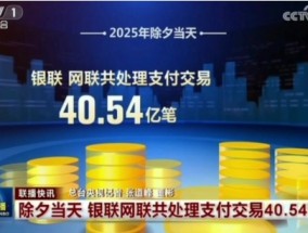 2025年除夕夜网络交易峰值达11万笔创历史新高 此前网传数据不实