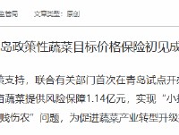 青岛金融监管局：政策性蔬菜目标价格保险为两个试点县域的6.91万亩蔬菜提供风险保障1.14亿元