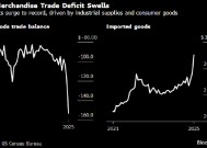 美国商品贸易逆差扩大至纪录新高 因进口激增