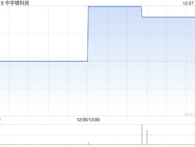 中华银科技拟溢价约132.56%发行合共1606.6万股换股股份 净筹约1580万港元