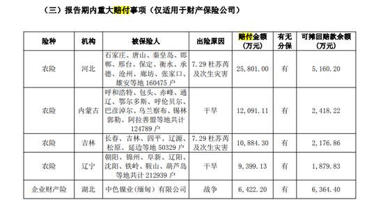 发债60亿背后 财险“五阿哥”或遭遇“中年危机”？！