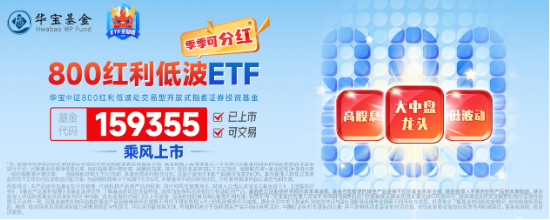 资产荒+跨年窗口，把握高确定性低波红利，全市场唯一800红利低波ETF（159355）标的基日以来年化收益超16%